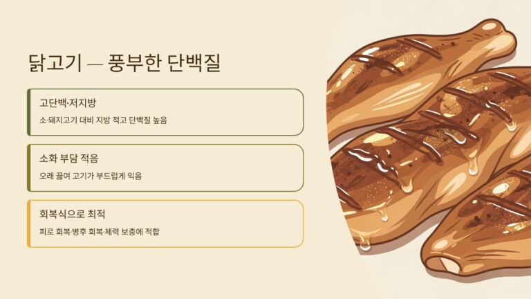 닭고기가 제공하는 풍부한 단백질