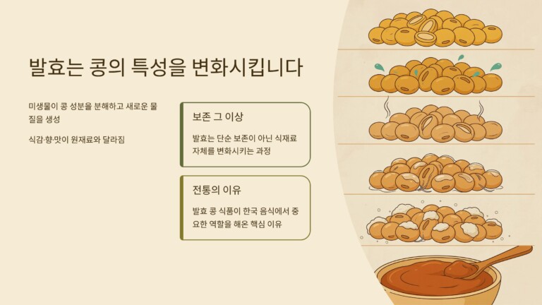발효는 콩의 특성을 변화시킵니다