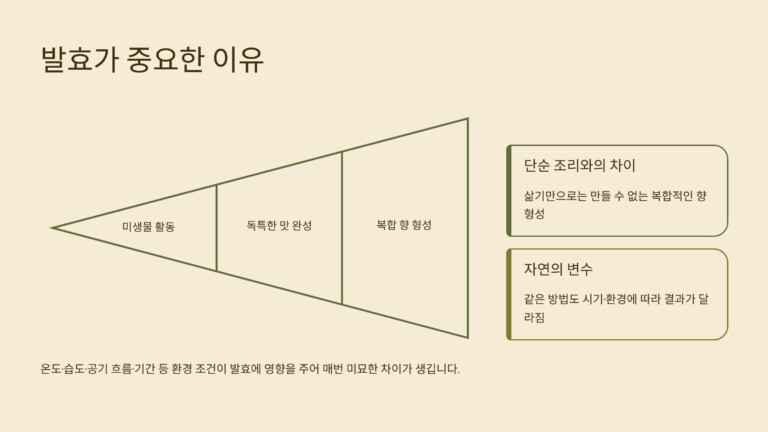 발효가 중요한 이유