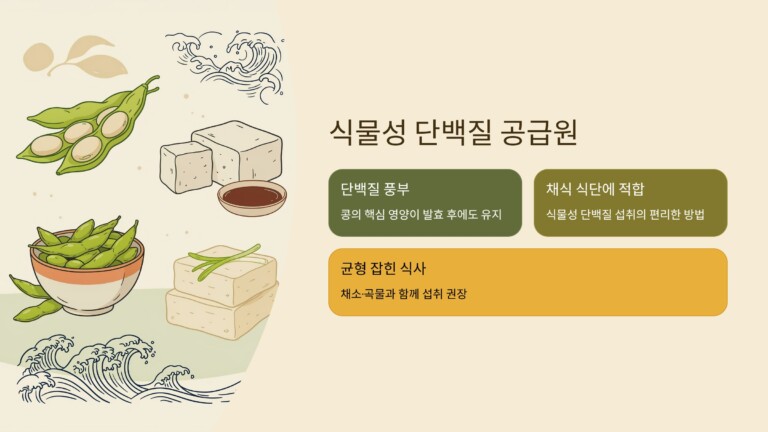 식물성 단백질을 제공