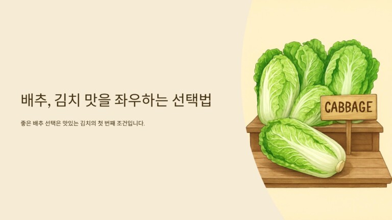 배추, 김치 맛을 좌우하는 선택법