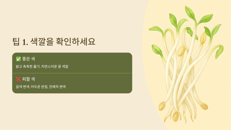 콩나물의 색깔