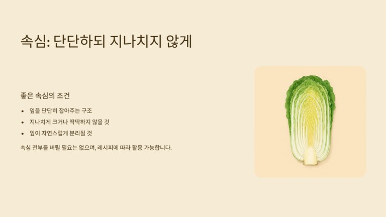 배추 속은 단단하되 지나치게 딱딱하지 않아야 합니다