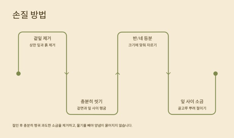 배추 손질 방법