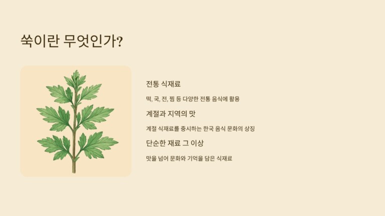쑥이란