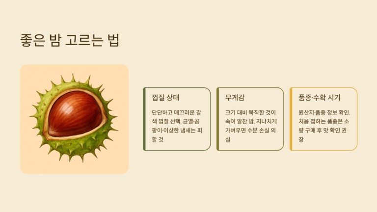 좋은 밤을 고를 때